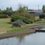 Cadbury Buiscut Factory